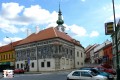 Vesel Jelen 2012 - Prohldka Synagogy